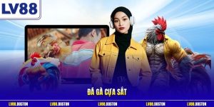 Đá Gà Cựa Sắt LV88 - Đấu Trường Kịch Tính Cho Các Tín Đồ